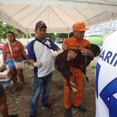 caravan-of-services-12